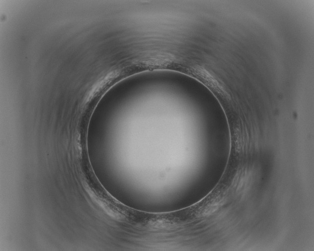 X0000074950634200609081417