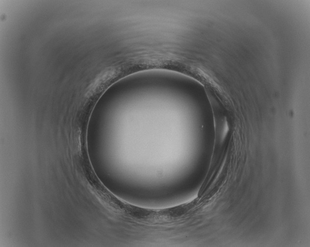 X0000074950685200609081416