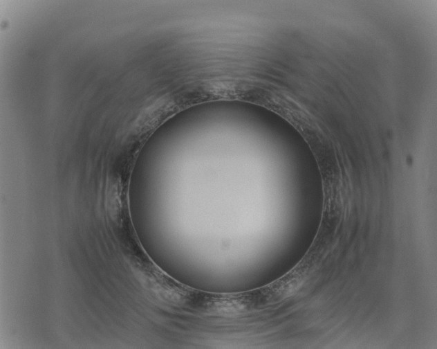 X0000074950702200609081416