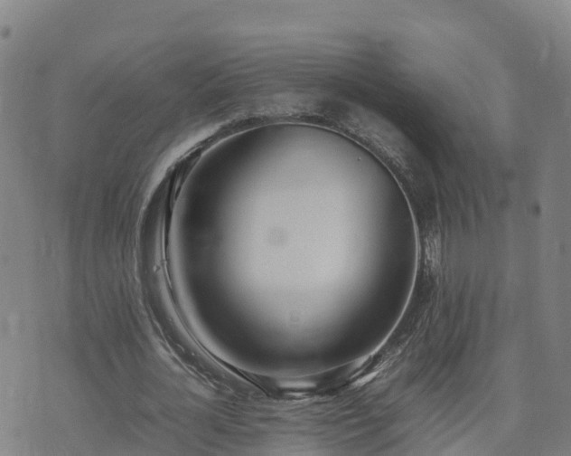 X0000074950724200609081415