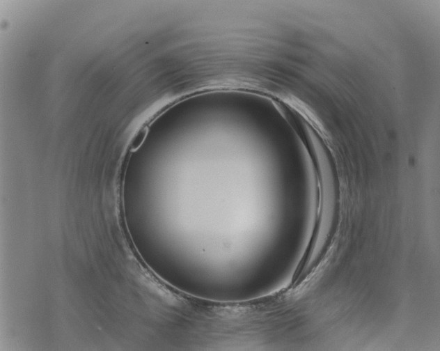 X0000074950854200609081414