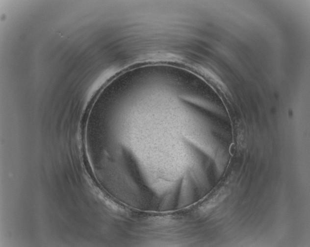 X0000074950990200609081411