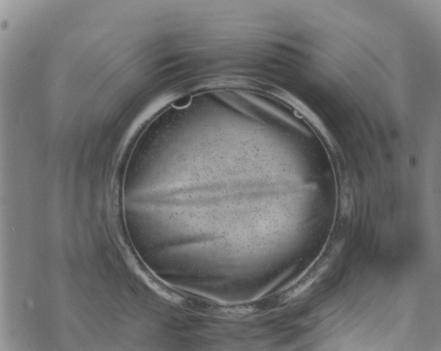 X0000074951053200609081411