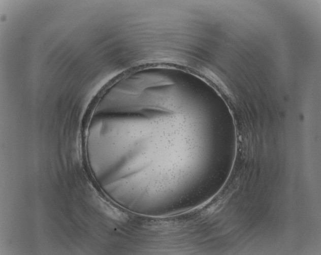 X0000074951076200609081410