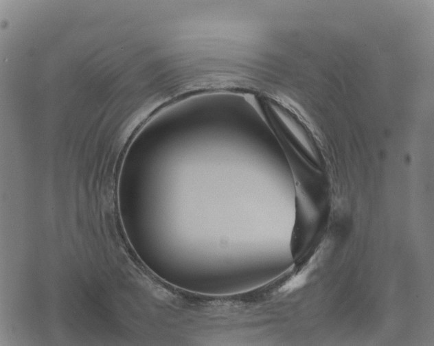 X0000074951081200609081410