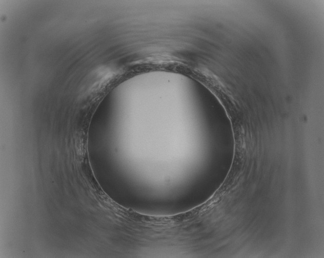 X0000074951110200609081409