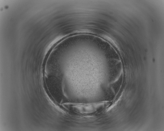 X0000074951133200609081409