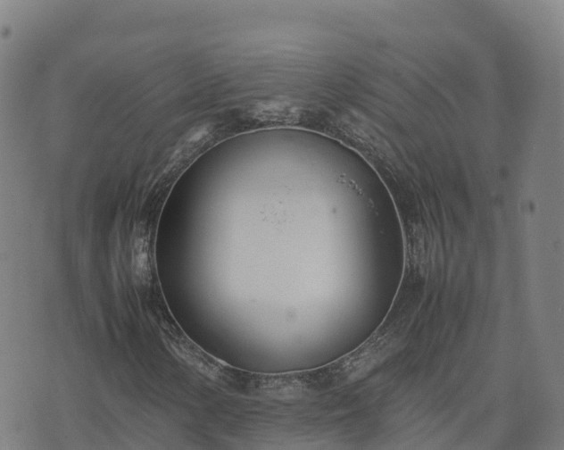 X0000074951154200609081409