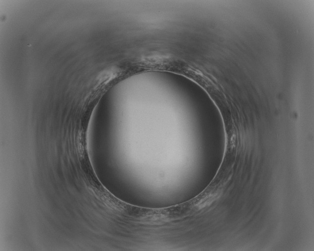X0000074951156200609081409