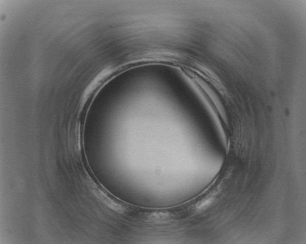 X0000074951180200609081408