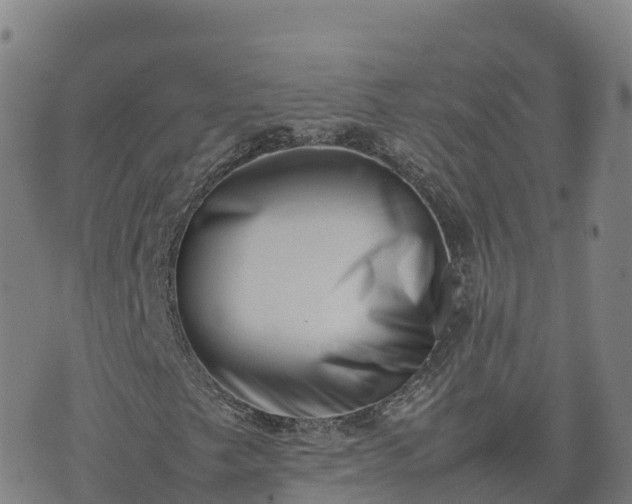 X0000074951249200609081407