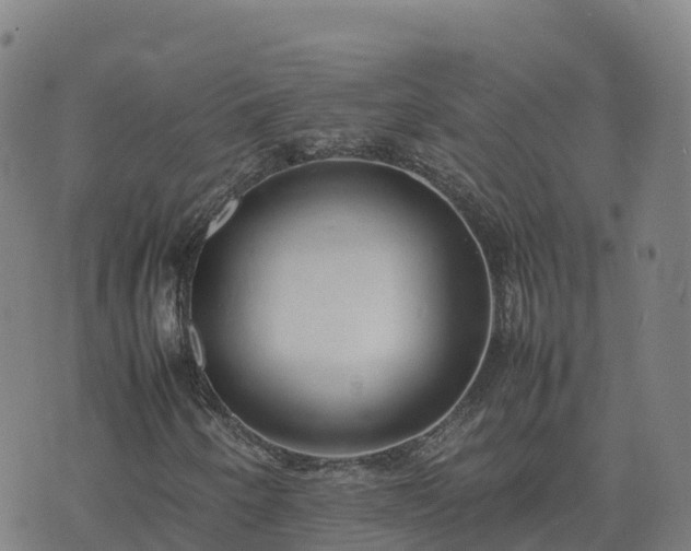 X0000074951250200609081407