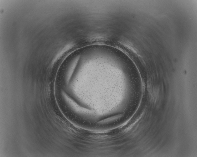 X0000074951309200609081406