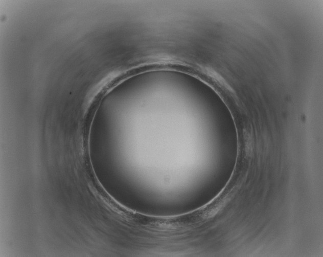 X0000074951318200609081406