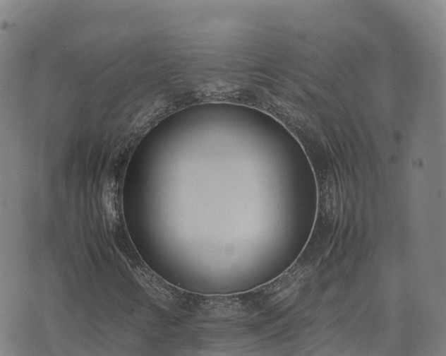 X0000074951346200609081406