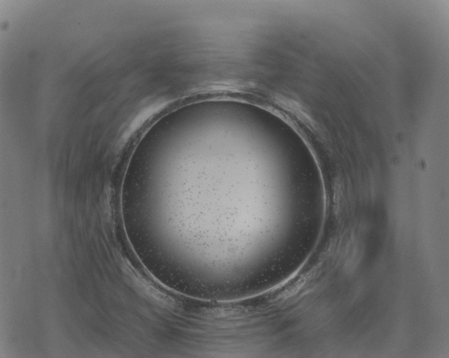 X0000074951404200609081404