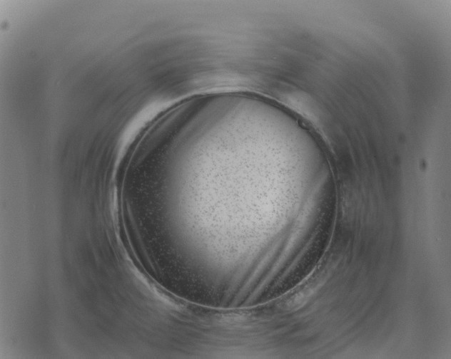 X0000074951472200609081404