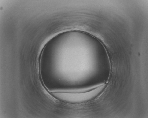 X0000074951516200609081403