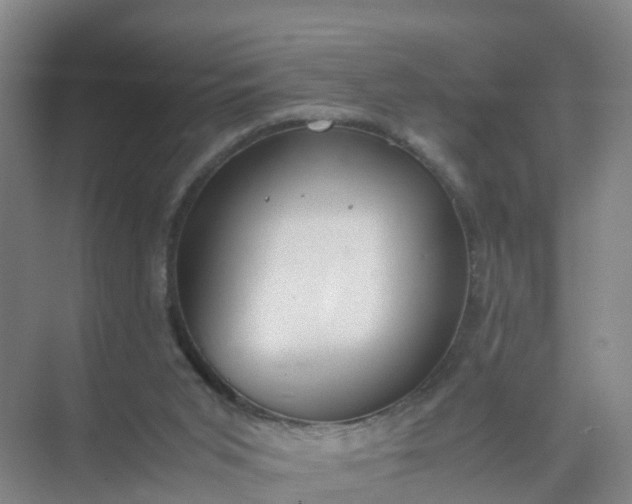 X0000074950015200609152042