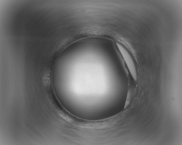 X0000074950017200609152042