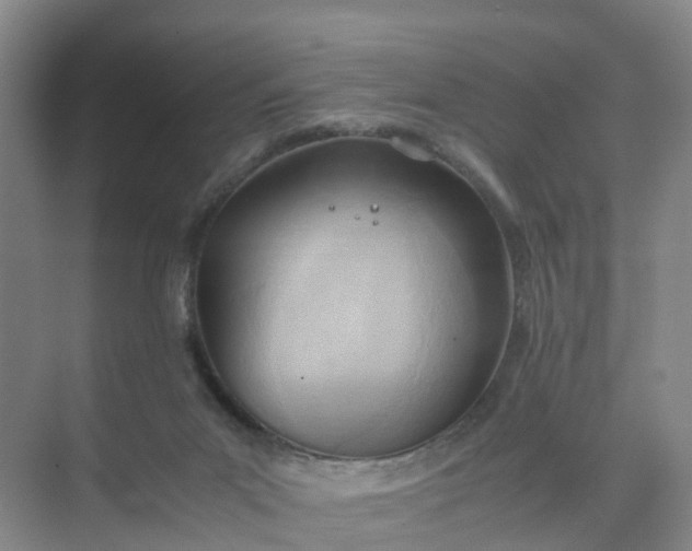 X0000074950023200609152042