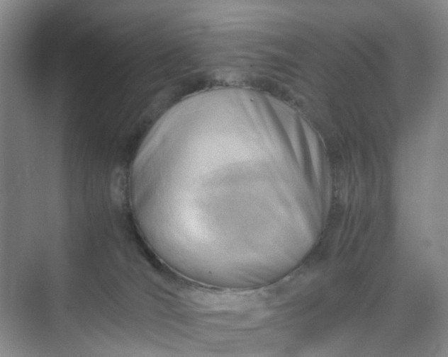 X0000074950036200609152042