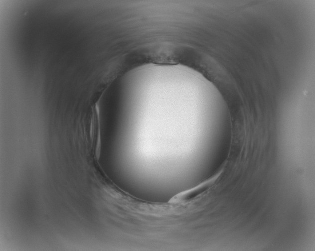 X0000074950037200609152042