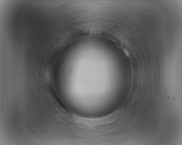 X0000074950039200609152042