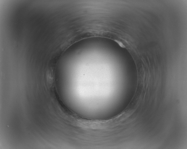X0000074950040200609152042