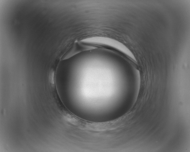 X0000074950041200609152042