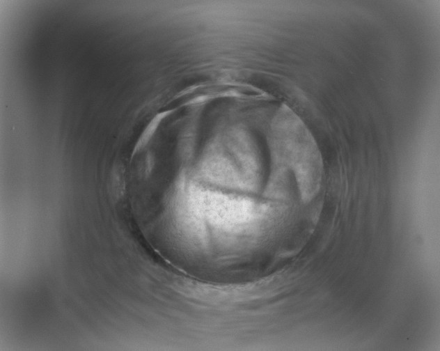 X0000074950043200609152042