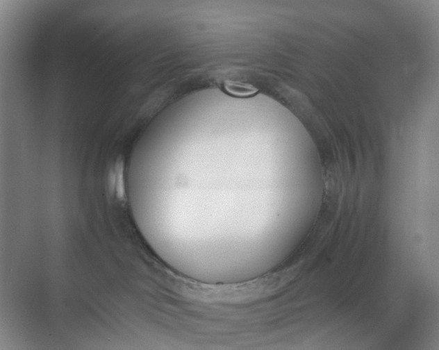 X0000074950046200609152042