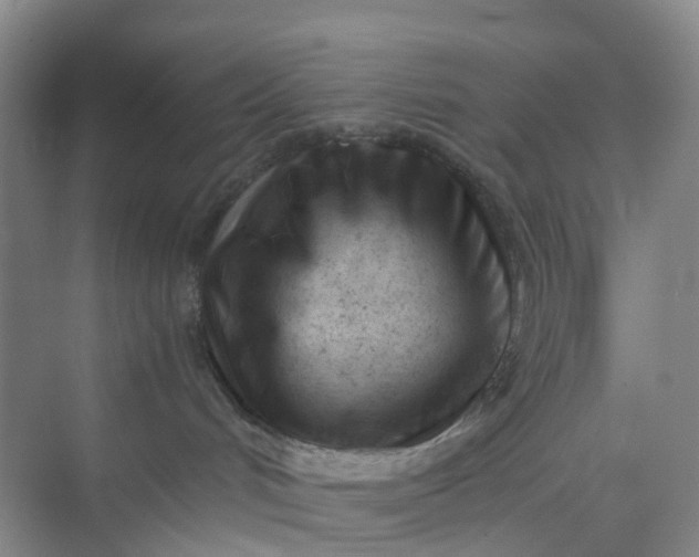 X0000074950048200609152042
