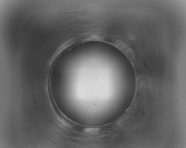 X0000074950051200609152041