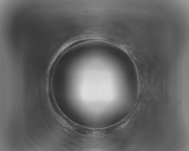 X0000074950056200609152041