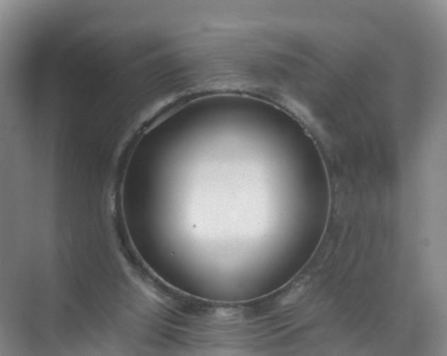 X0000074950060200609152041