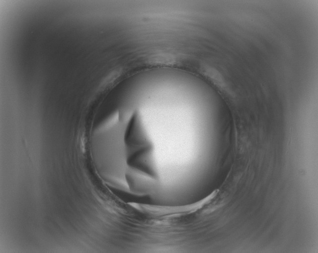 X0000074950068200609152041