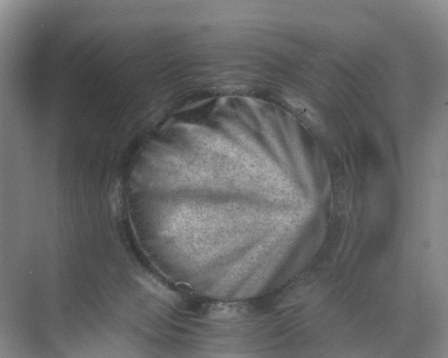 X0000074950077200609152041