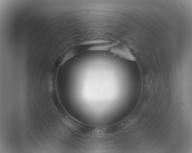 X0000074950080200609152041