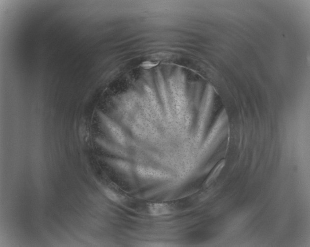 X0000074950091200609152042
