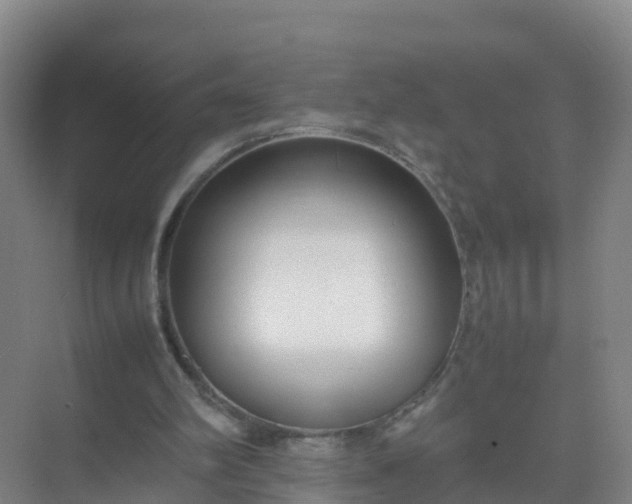 X0000074950102200609152041