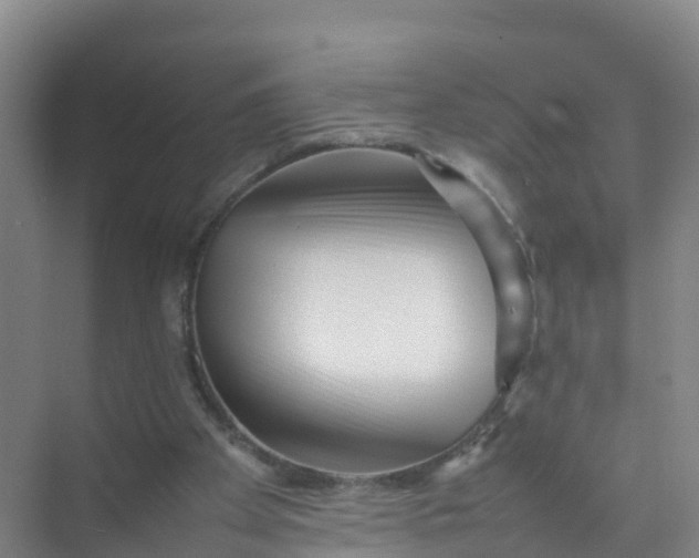 X0000074950105200609152041
