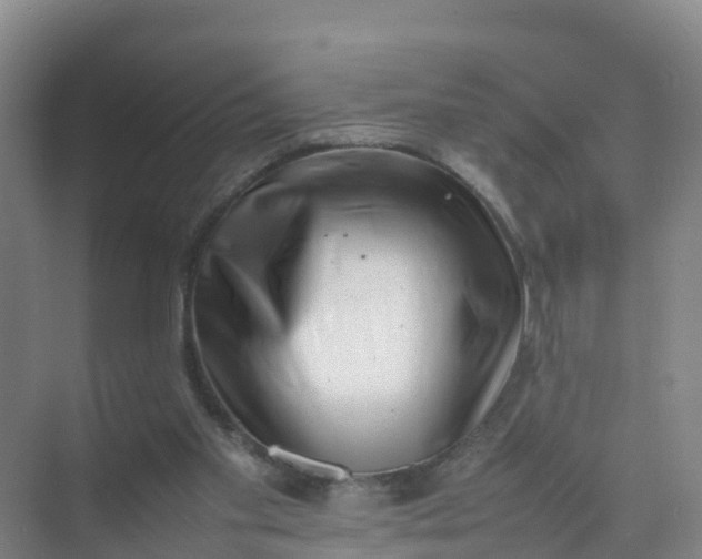 X0000074950109200609152041