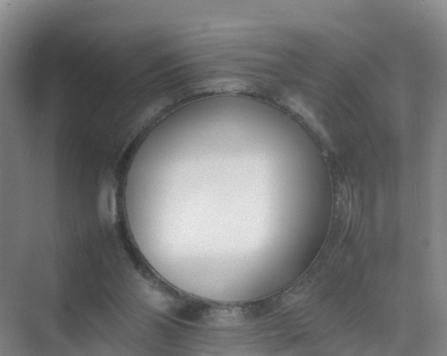 X0000074950110200609152041