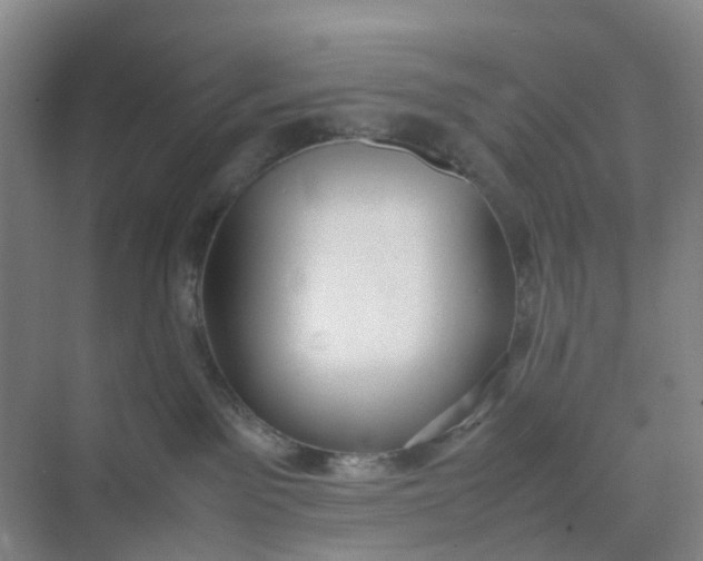 X0000074950141200609152040