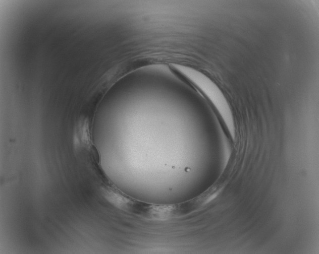 X0000074950143200609152040