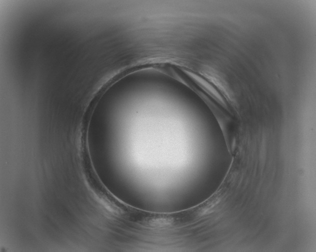 X0000074950156200609152040