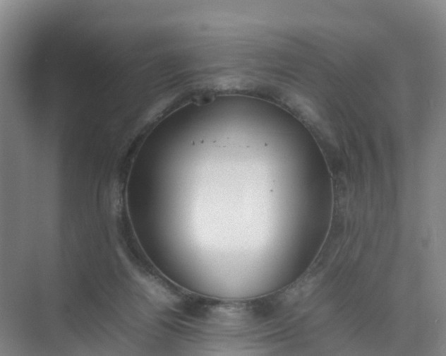 X0000074950164200609152040