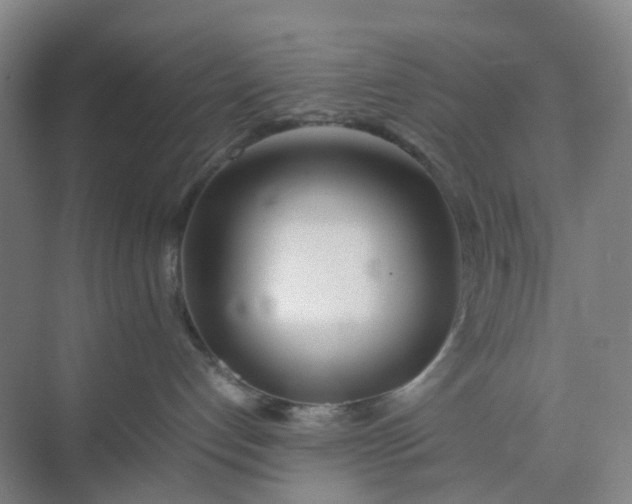 X0000074950192200609152040
