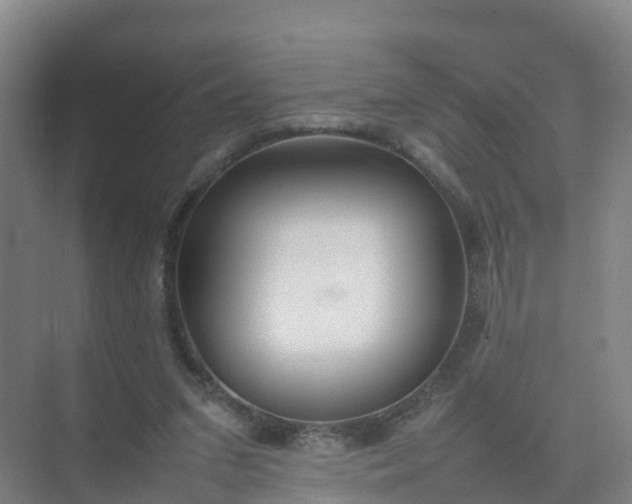 X0000074950207200609152039
